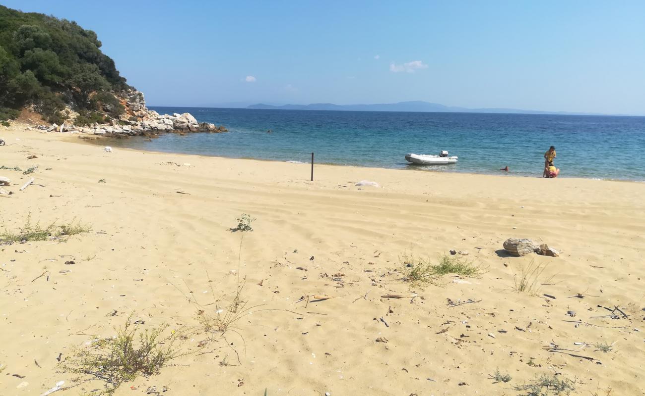 Stratoni beach IIX'in fotoğrafı parlak kum yüzey ile