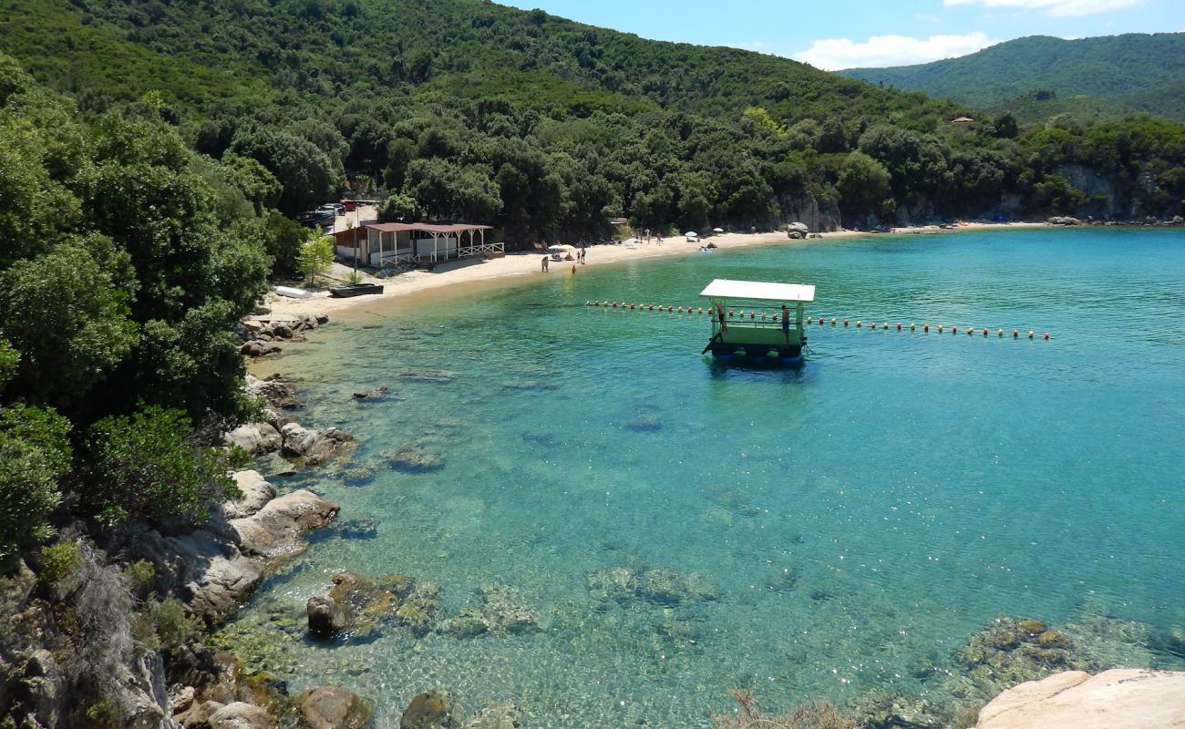 Paralia Vinia'in fotoğrafı parlak kum yüzey ile