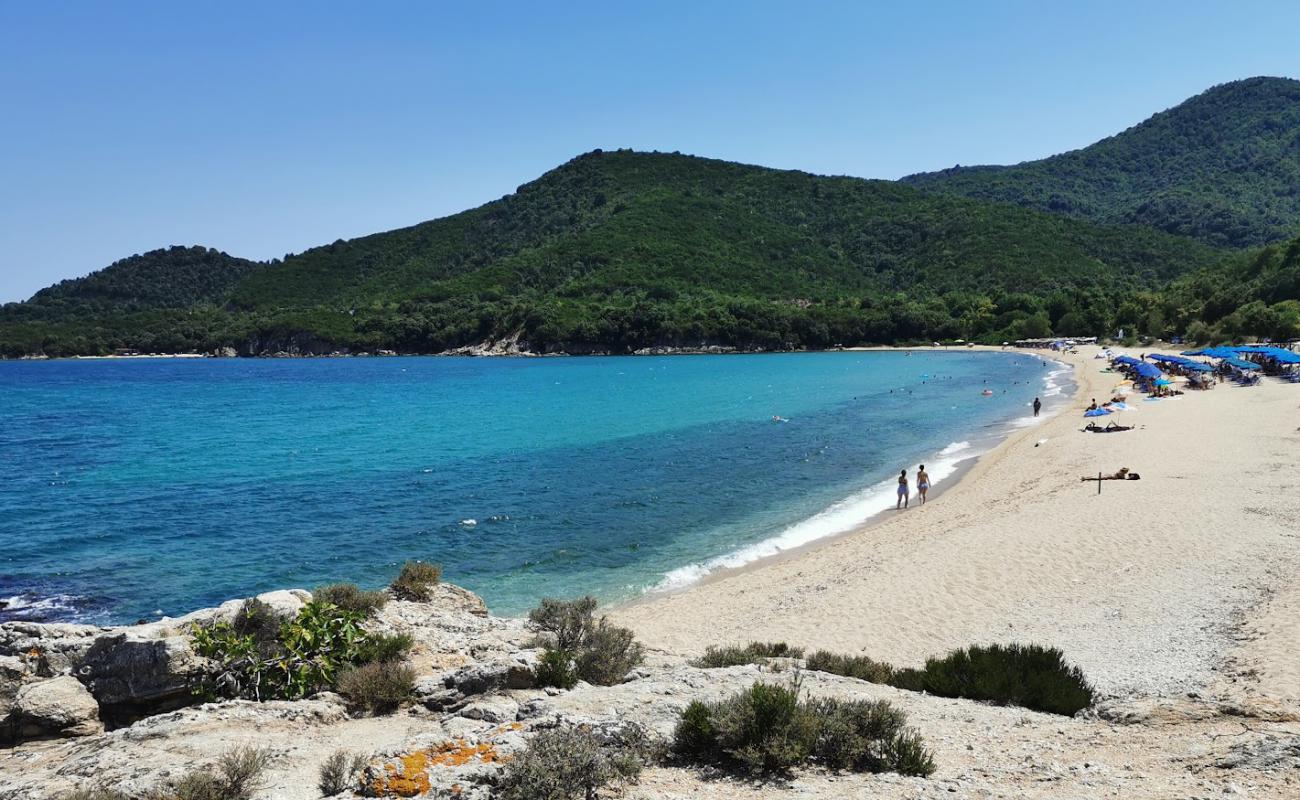 Vina Plajı'in fotoğrafı gri ince kum yüzey ile