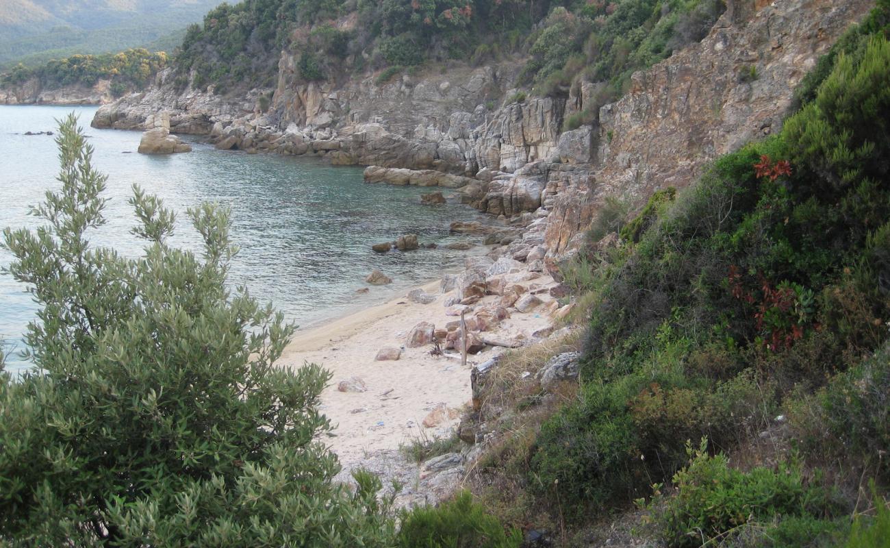 Stagira Beach'in fotoğrafı parlak kum ve kayalar yüzey ile