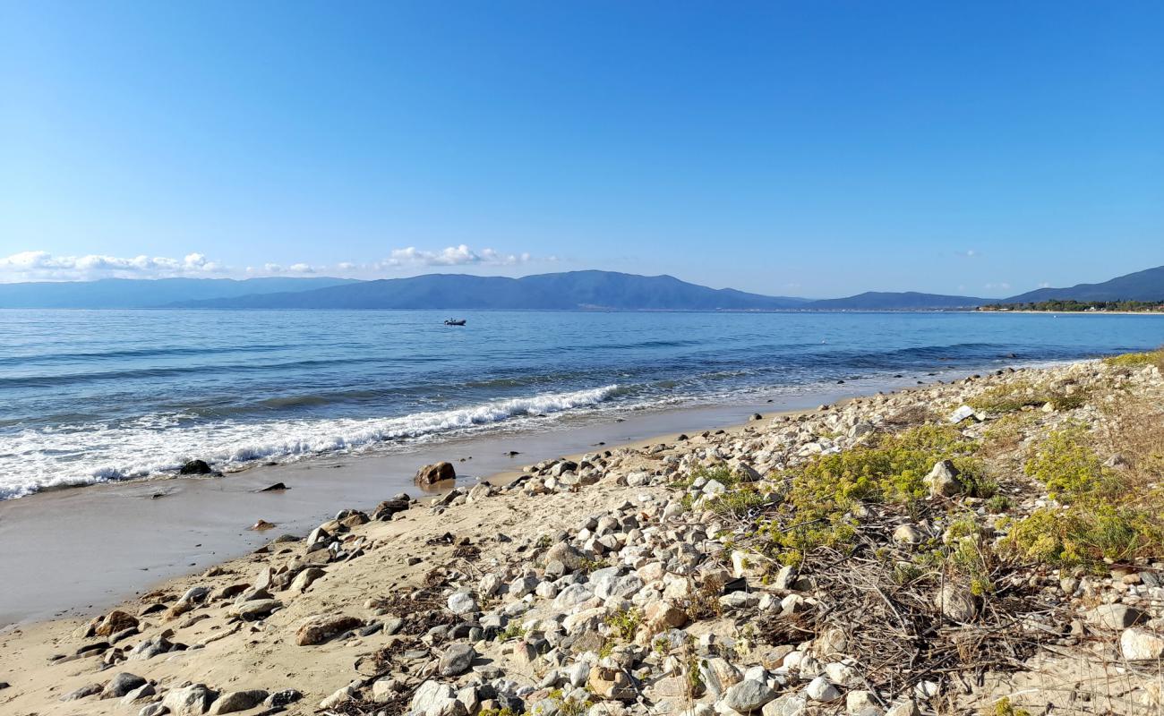 Paralia Neon Kerdilion'in fotoğrafı açık bej kum yüzey ile