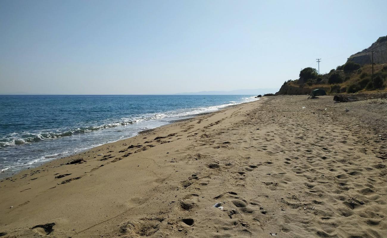 Coyota's beach'in fotoğrafı beyaz kum yüzey ile