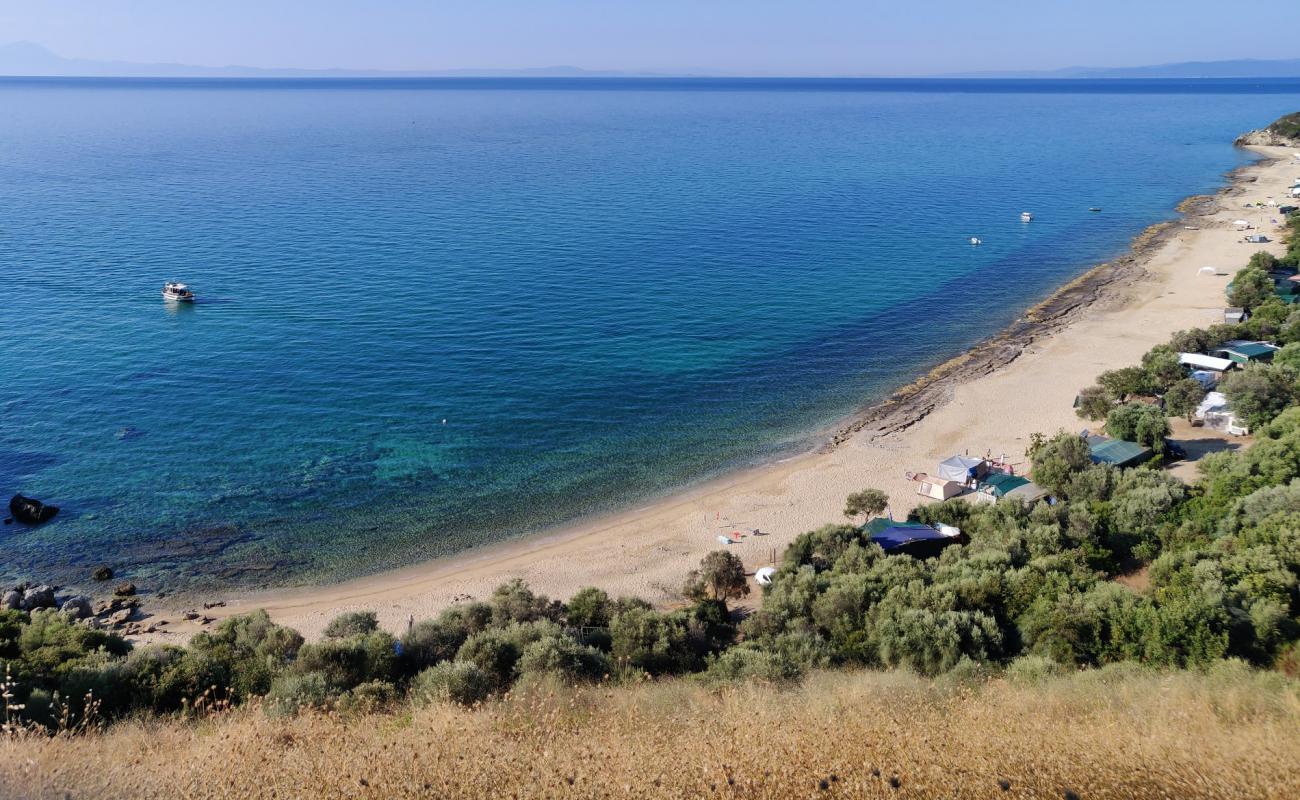 Paralia Folias'in fotoğrafı beyaz kum yüzey ile