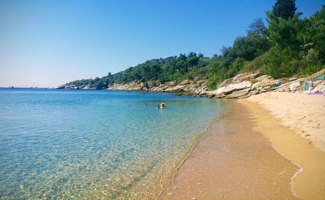 Paralia Kolimvisis II'in fotoğrafı parlak kum yüzey ile