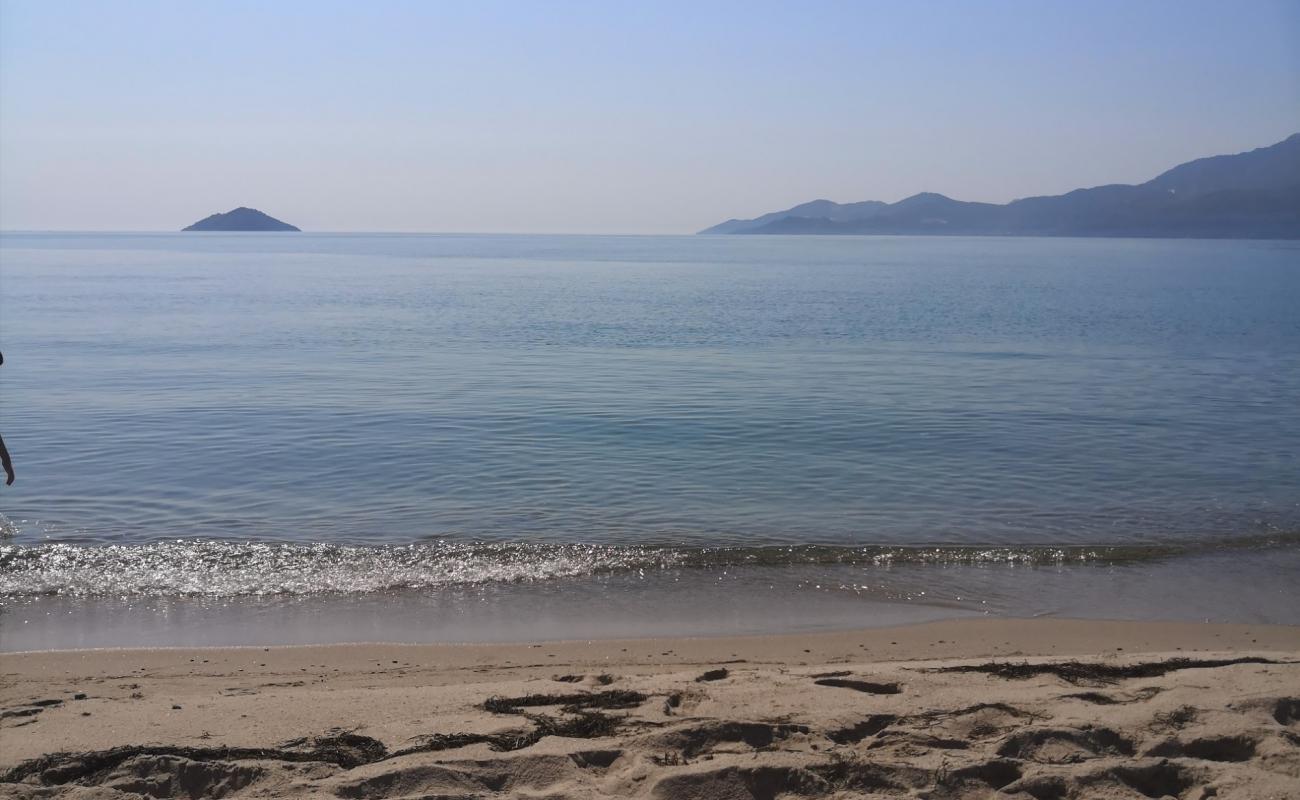 Agiasma beach'in fotoğrafı beyaz kum yüzey ile