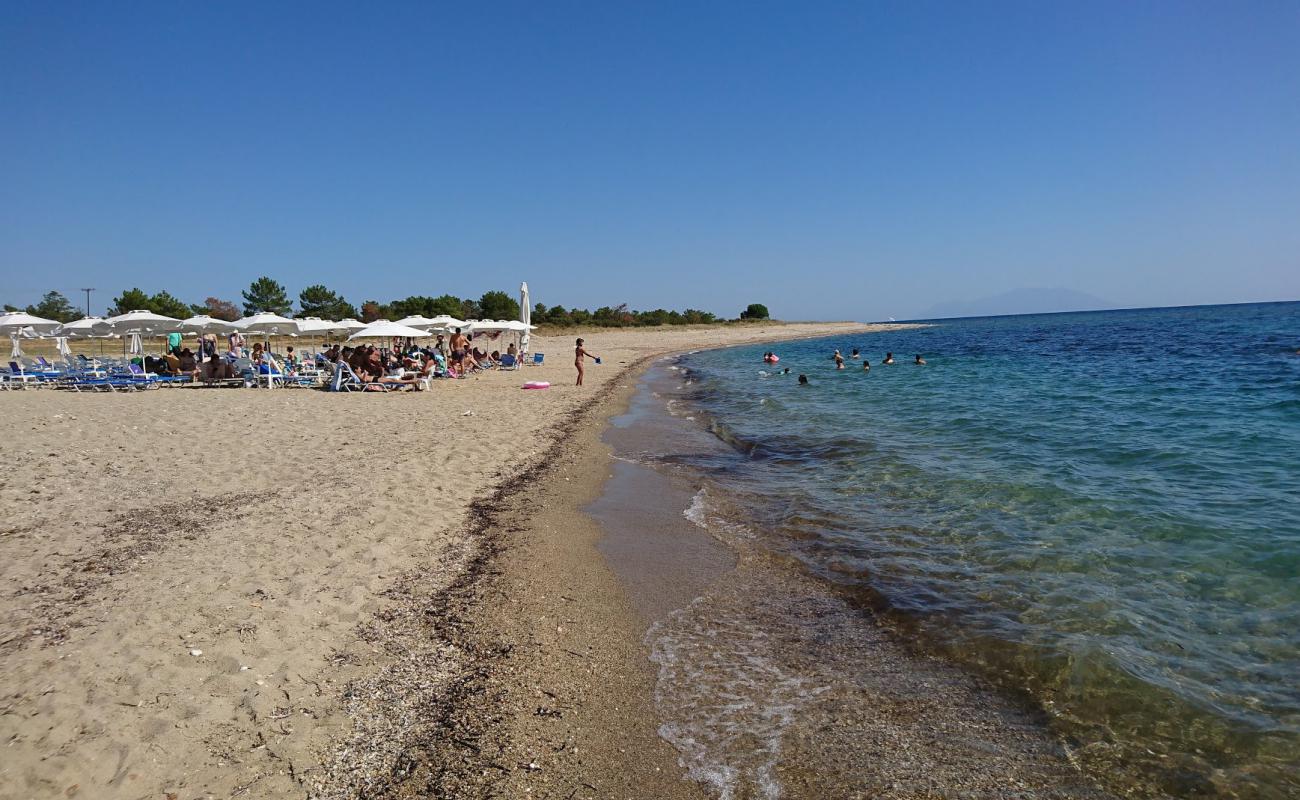 Coogee beach'in fotoğrafı i̇nce bej kum yüzey ile