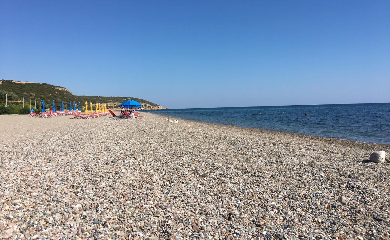 Paralia Petroton'in fotoğrafı bej çakıl yüzey ile