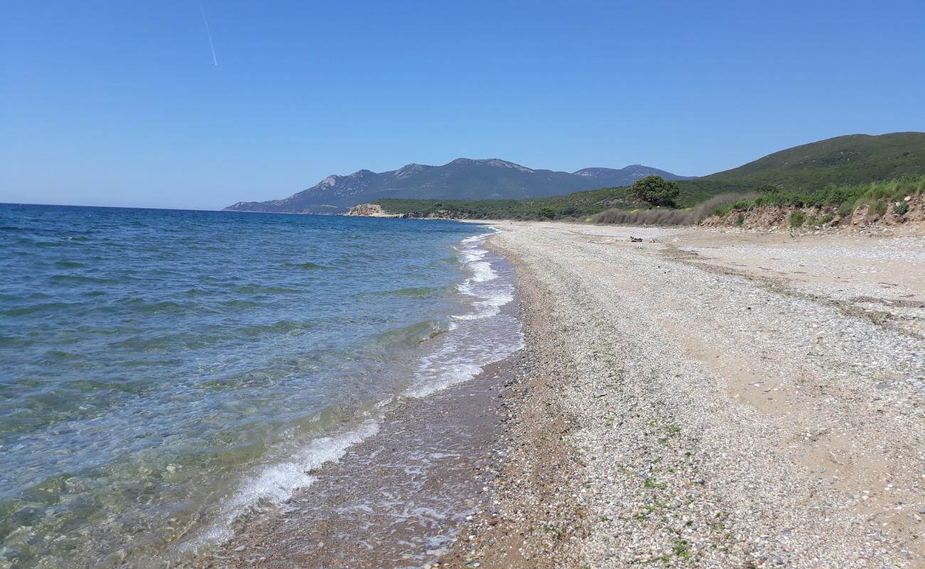 Mesimvria Zoni beach'in fotoğrafı çakıl ile kum yüzey ile