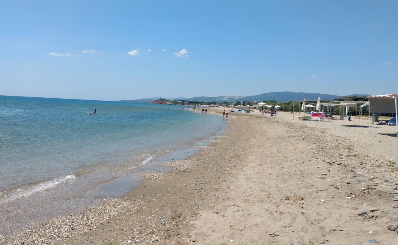 Alexandroupolis beach'in fotoğrafı çakıl ile kum yüzey ile