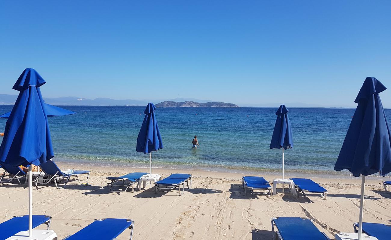 Papias beach'in fotoğrafı #86 yüzey ile