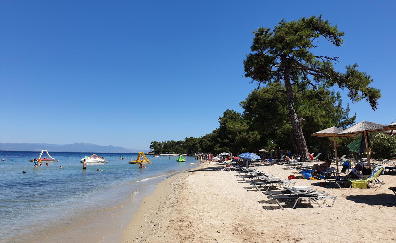 Pachis beach'in fotoğrafı beyaz kum yüzey ile