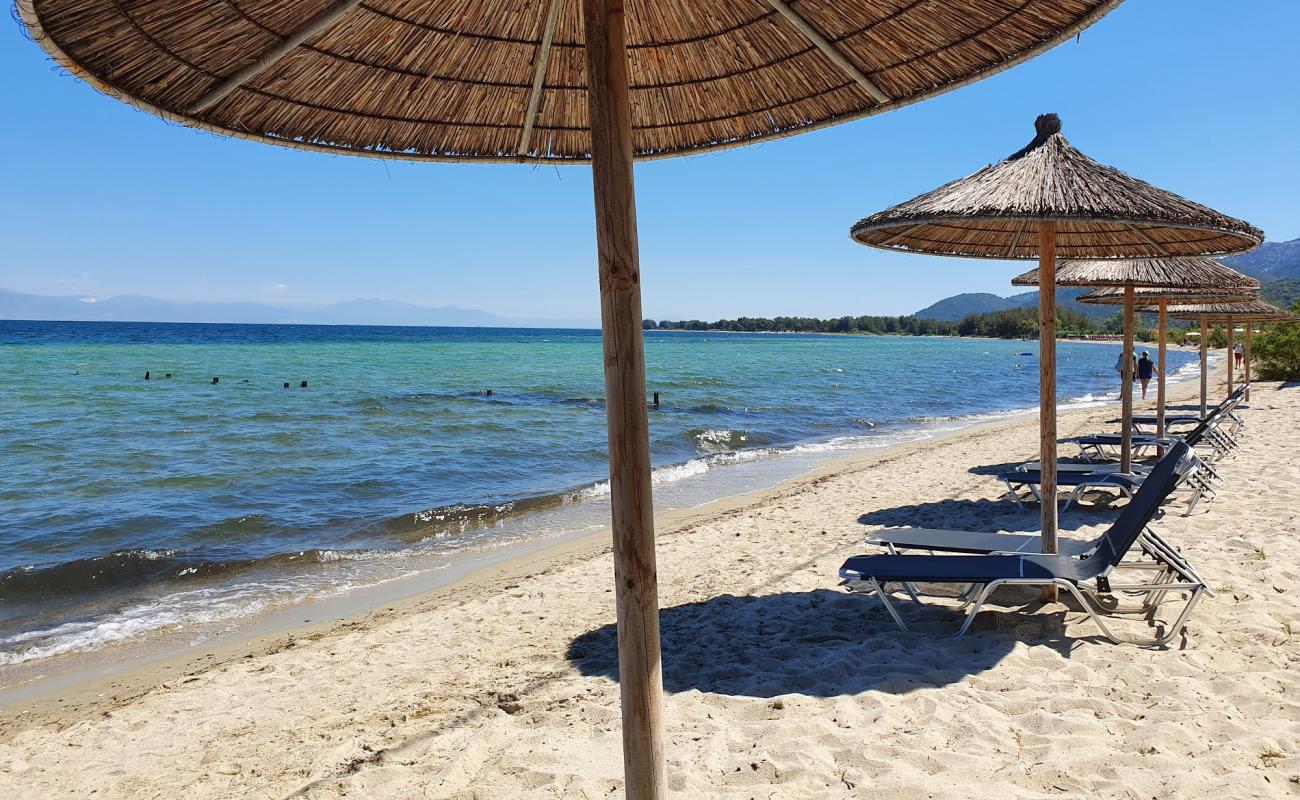 Skala Prinos beach'in fotoğrafı parlak kum yüzey ile