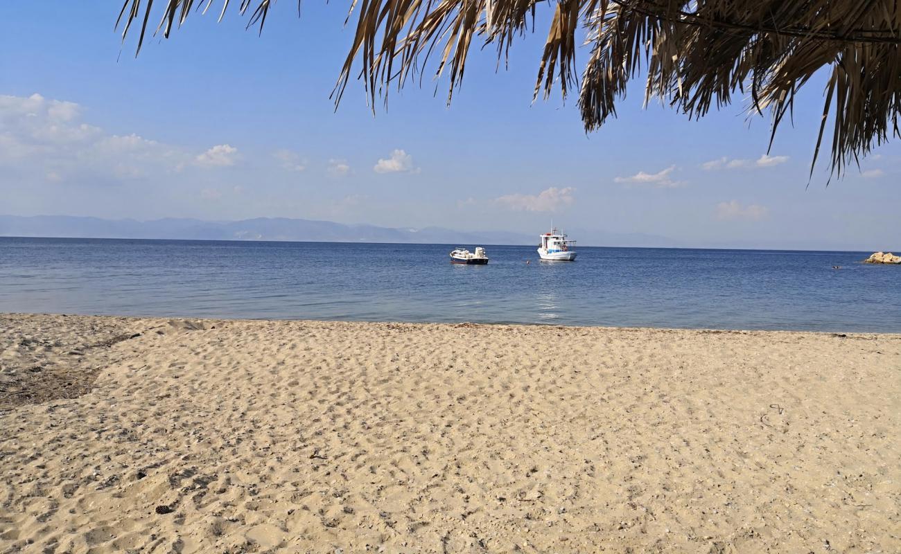 Revive beach'in fotoğrafı parlak kum yüzey ile