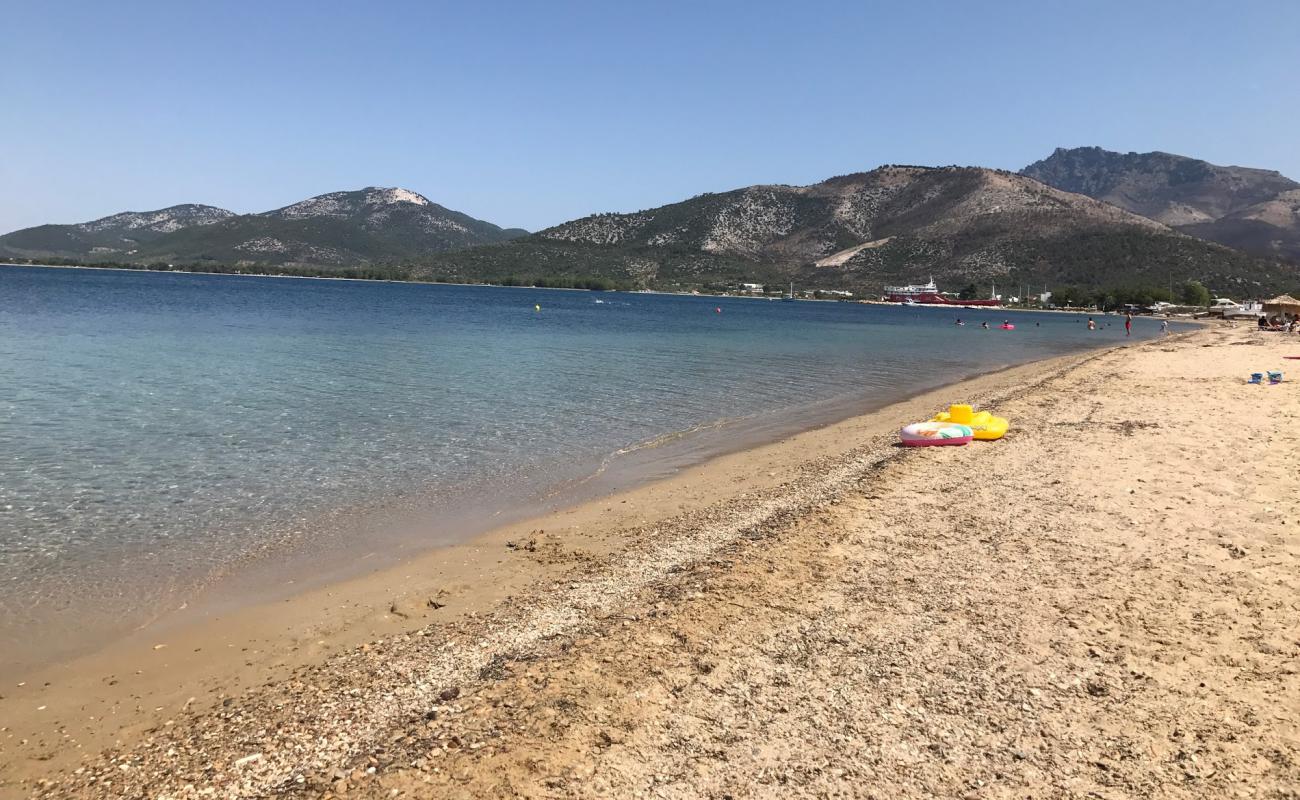 Aphrodite beach'in fotoğrafı açık bej kum yüzey ile