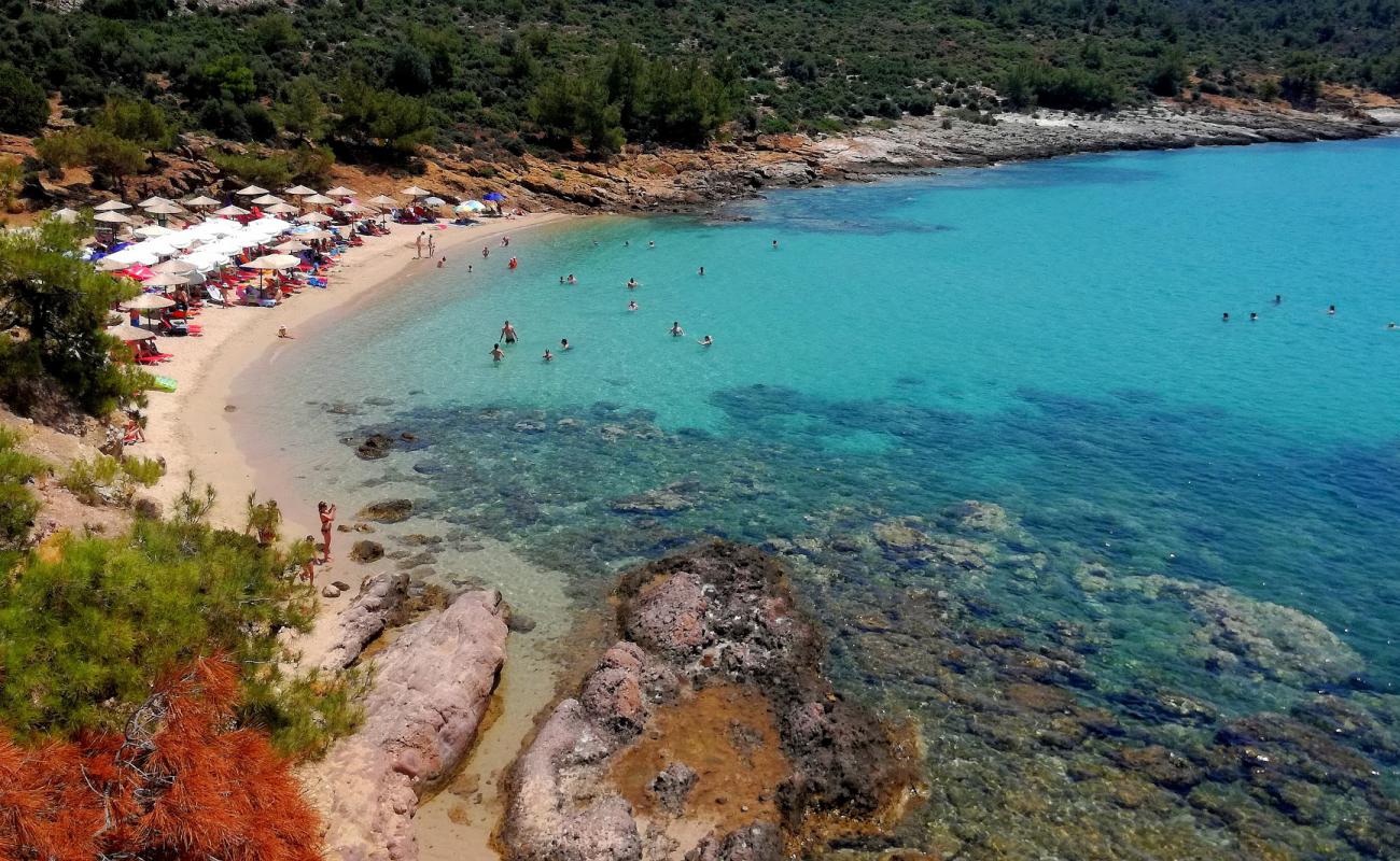 Notos Plajı'in fotoğrafı parlak kum yüzey ile