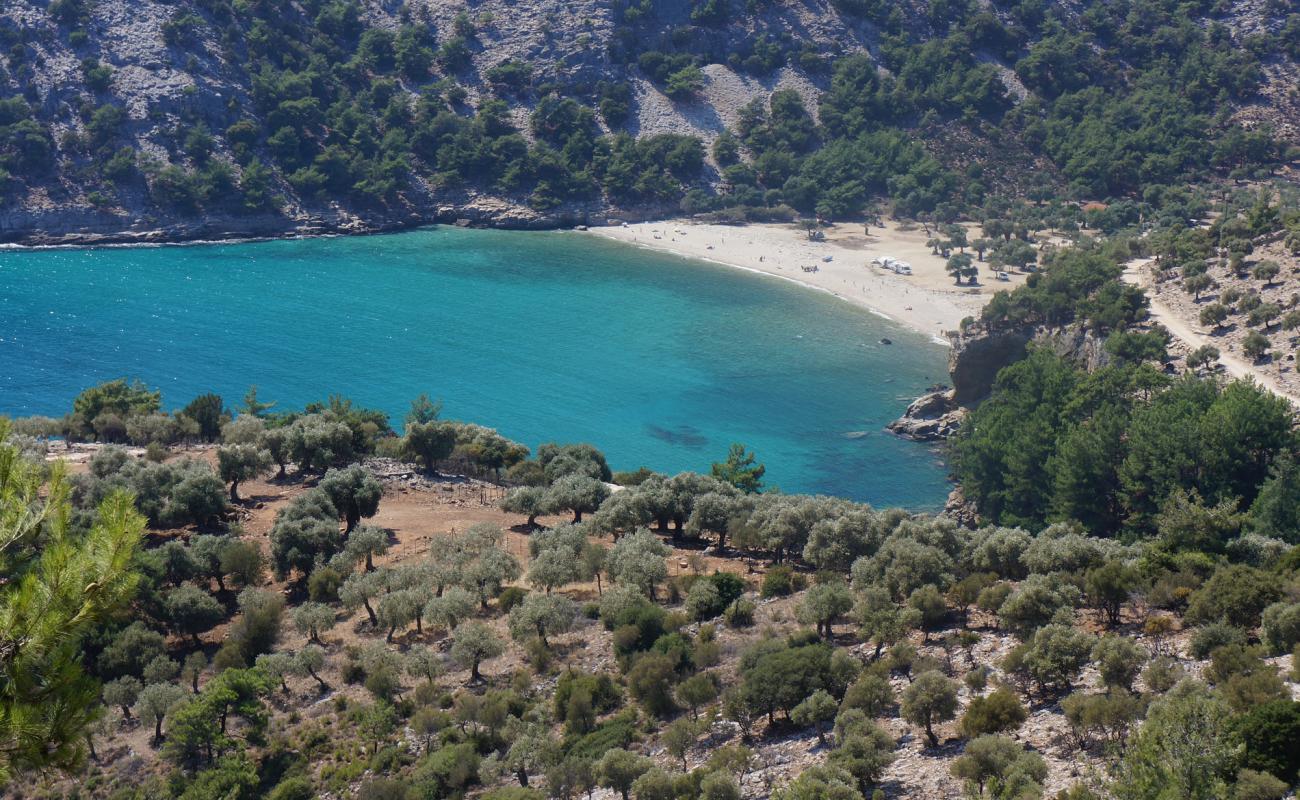 Livadi beach'in fotoğrafı hafif çakıl yüzey ile