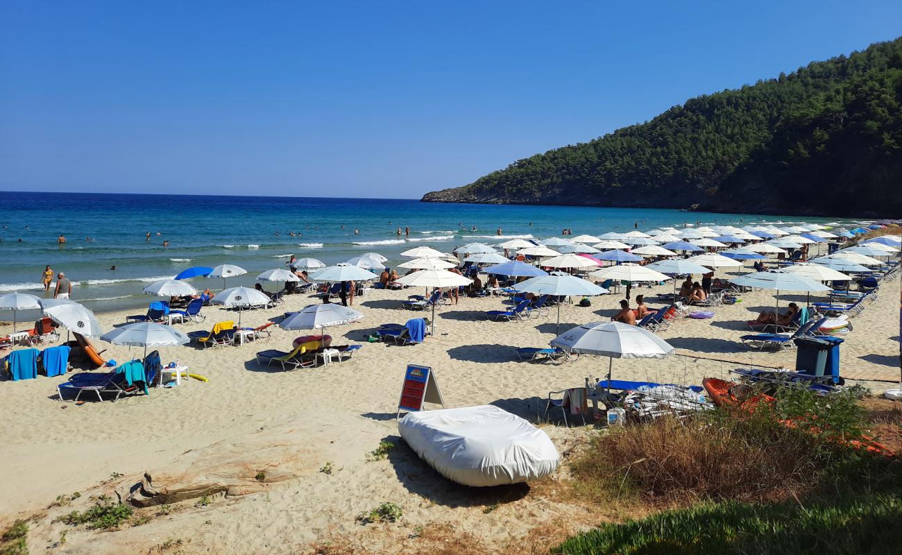 Paradise beach'in fotoğrafı beyaz ince kum yüzey ile