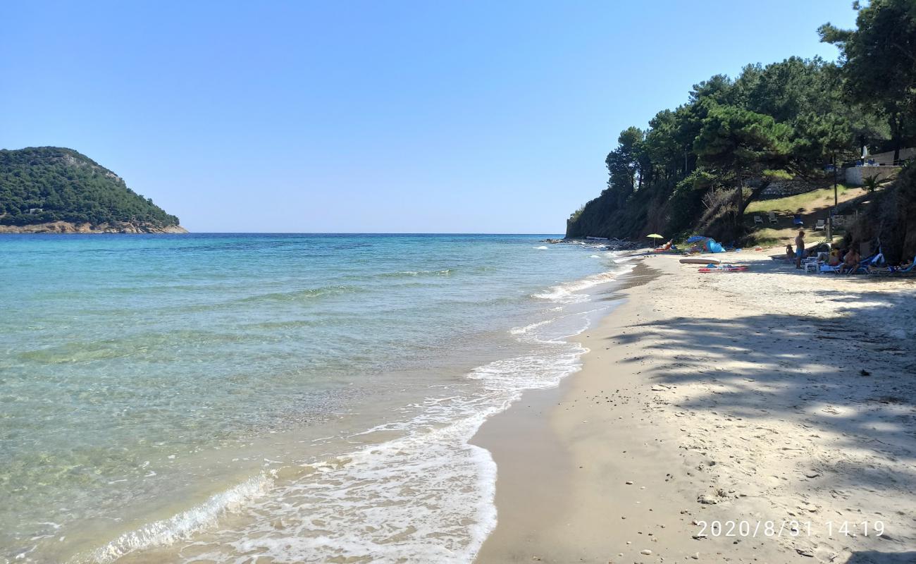 Dolphins beach'in fotoğrafı bej kum ve çakıl yüzey ile
