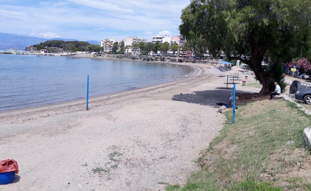 Curator beach'in fotoğrafı gri kum ve çakıl yüzey ile