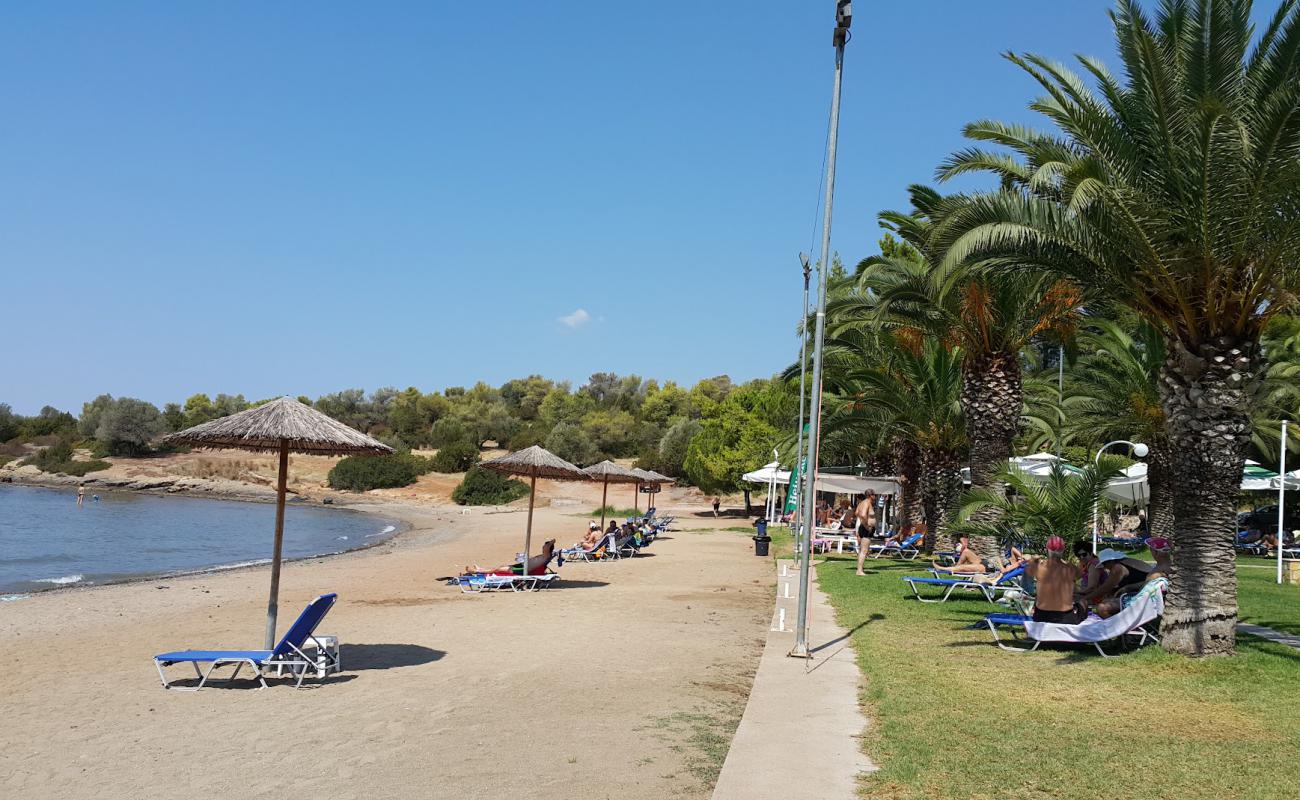 Voleri beach'in fotoğrafı kahverengi kum yüzey ile