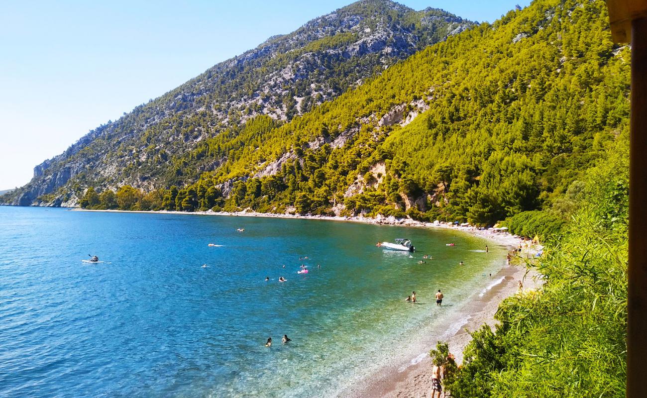 Dafni of Evia beach'in fotoğrafı küçük gri çakıllar yüzey ile