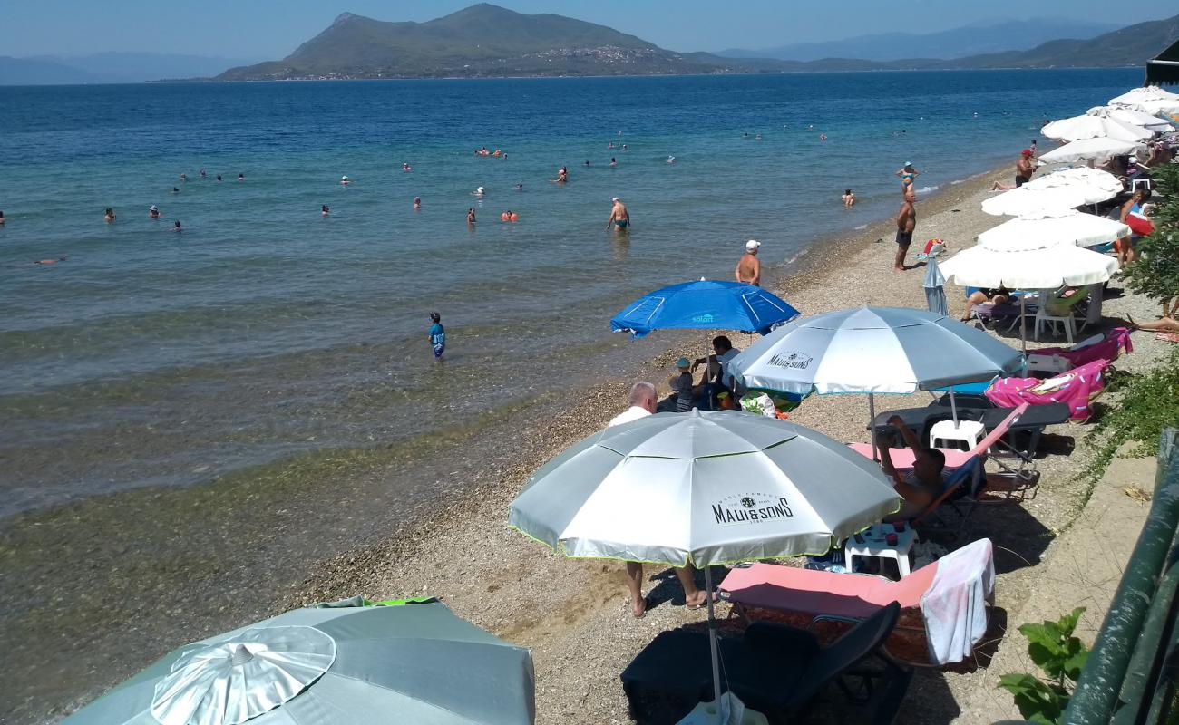 Loutra Edipsou 2 beach'in fotoğrafı küçük gri çakıllar yüzey ile