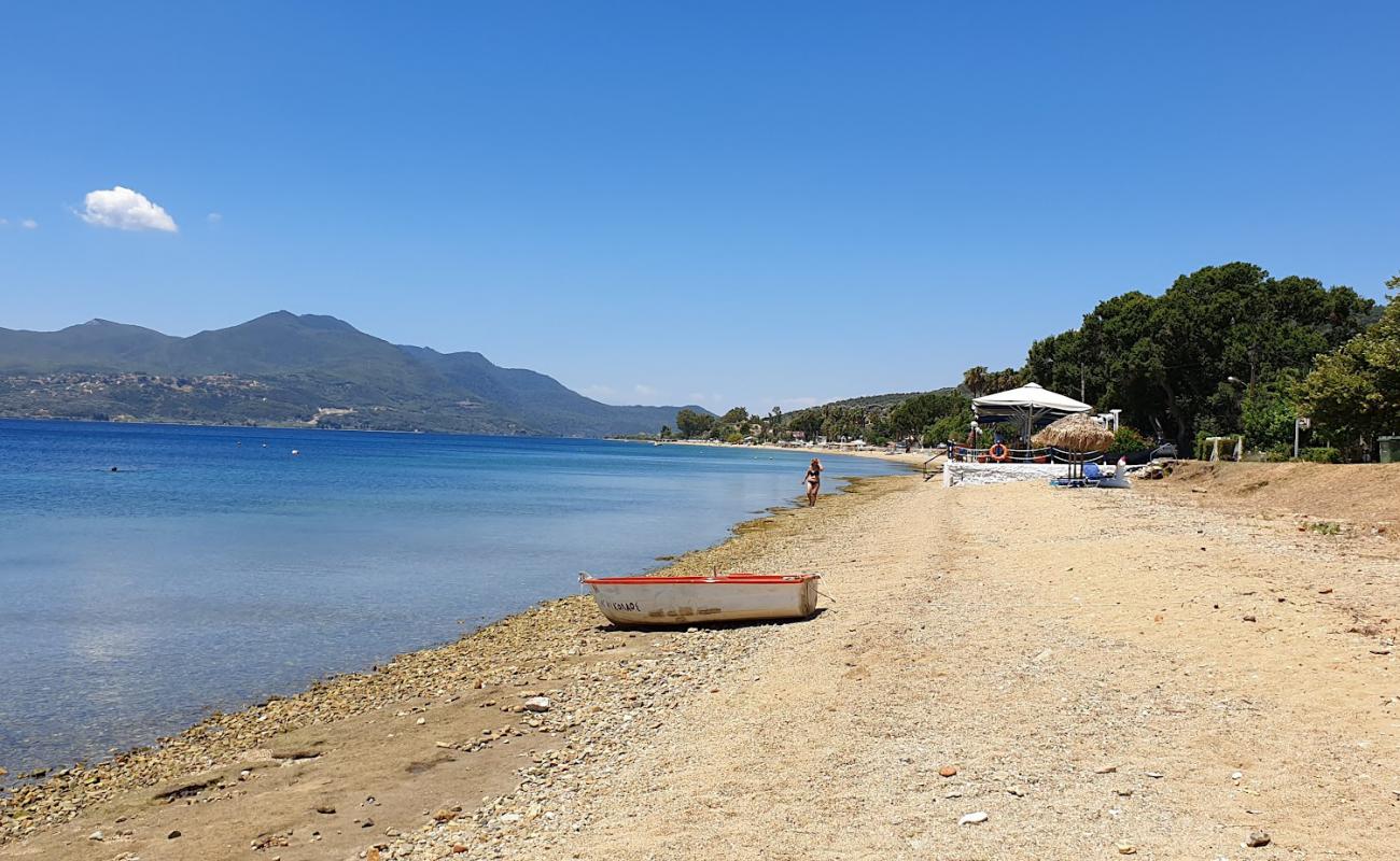 Maounis beach'in fotoğrafı siyah kum ve çakıl yüzey ile