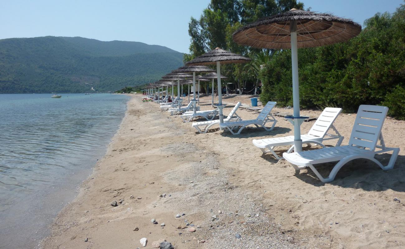 Rododafni beach'in fotoğrafı taşlı kum yüzey ile