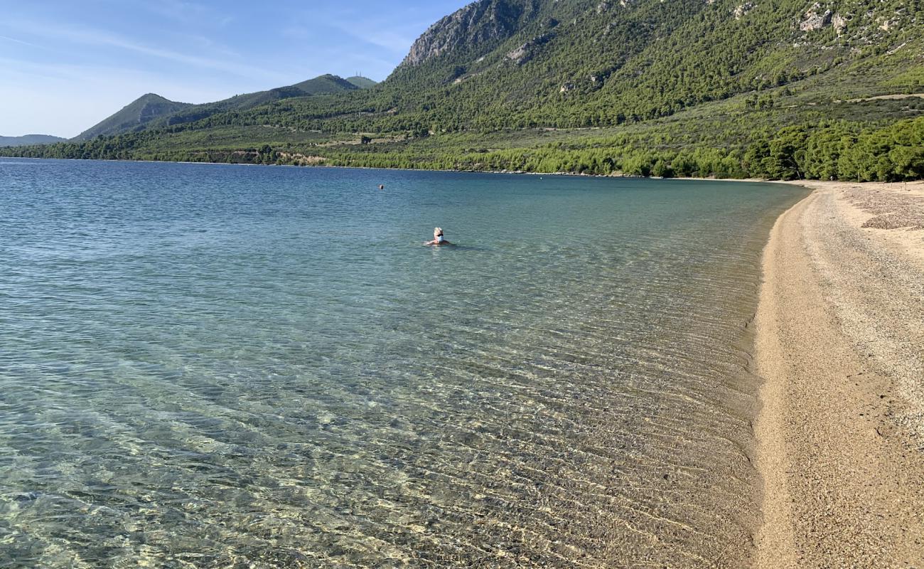 Gregolimano beach'in fotoğrafı parlak kum yüzey ile