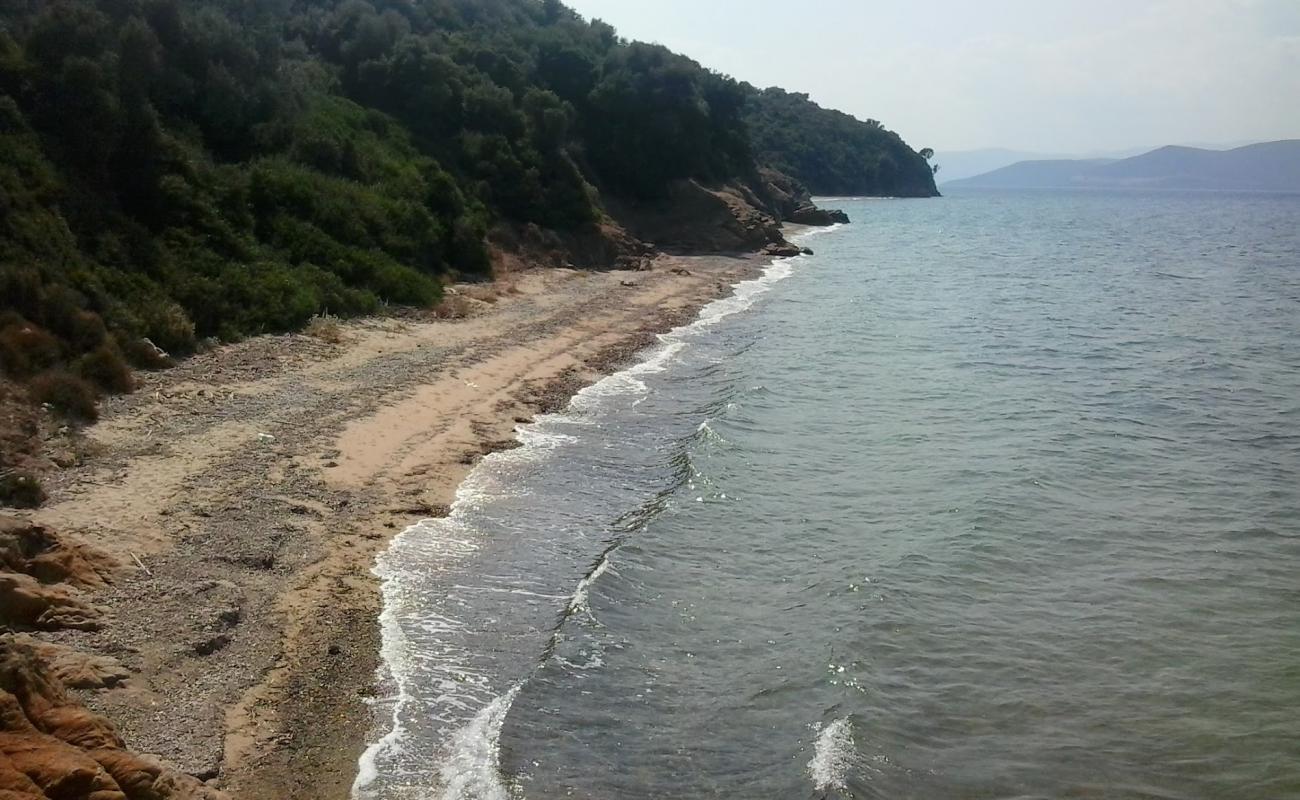 Agiokampos 2 beach'in fotoğrafı parlak kum yüzey ile