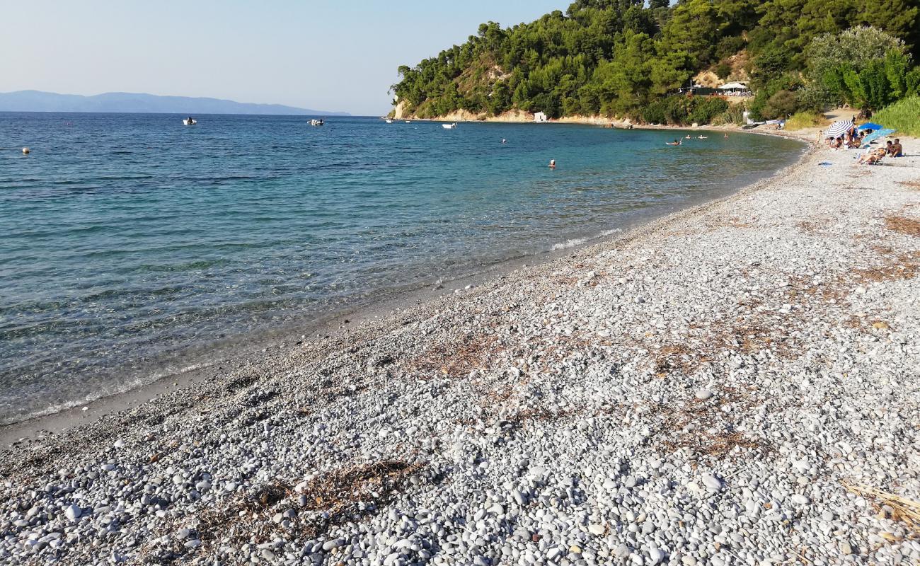 Koutsoupri beach'in fotoğrafı küçük gri çakıllar yüzey ile