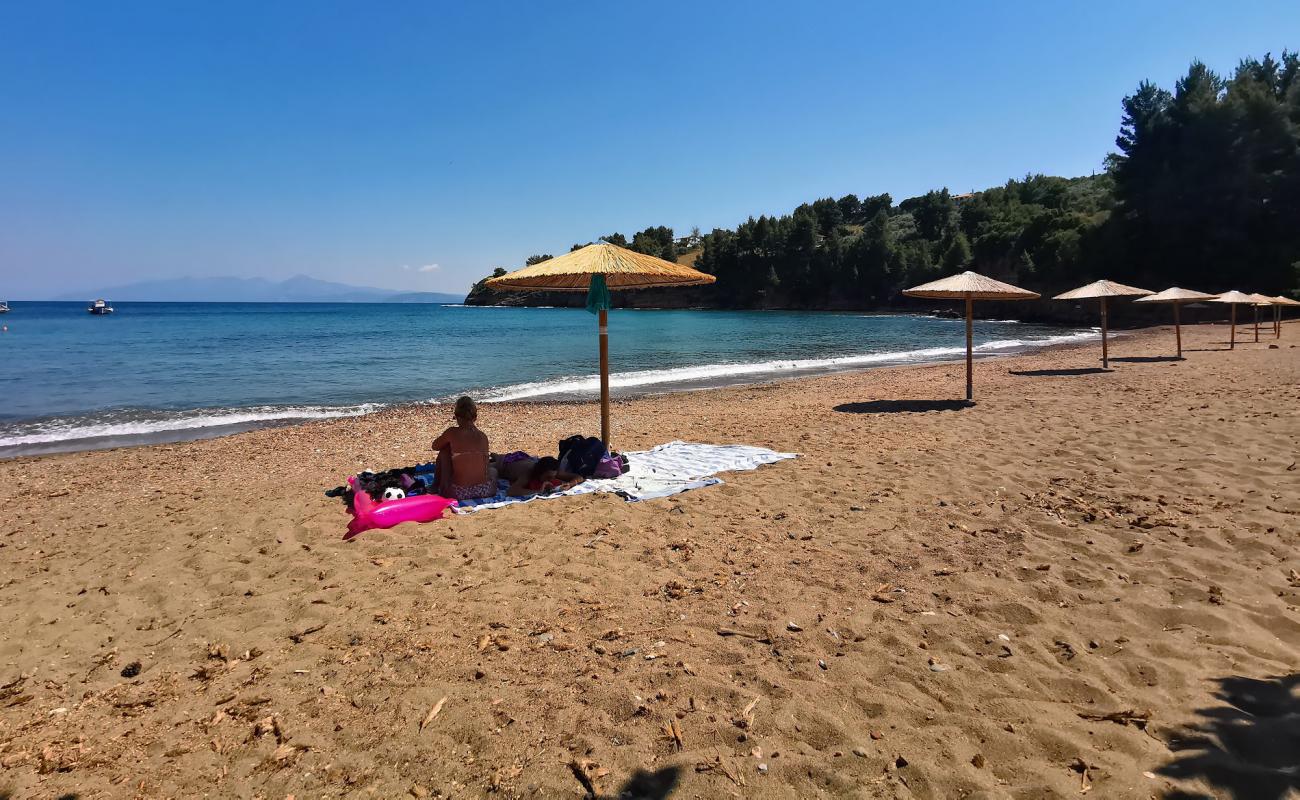 Kotsikia beach'in fotoğrafı siyah kum ve çakıl yüzey ile