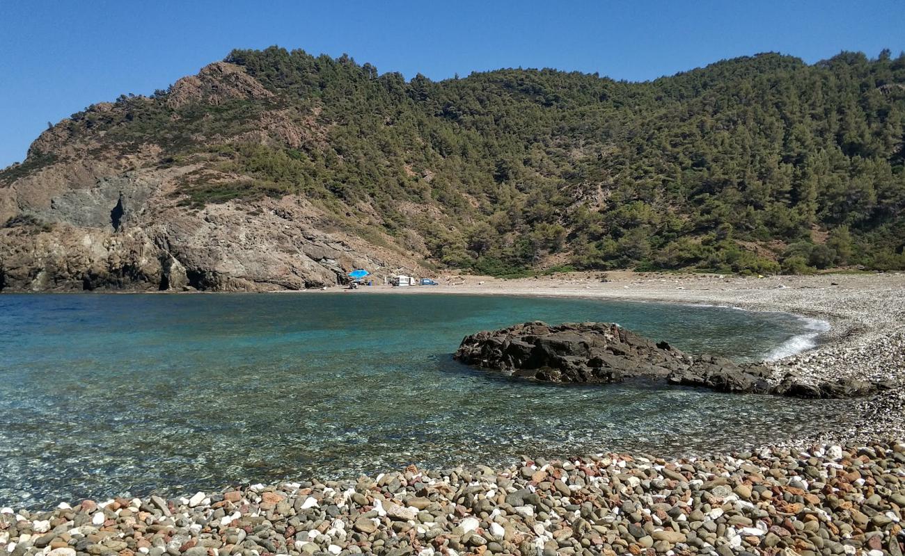 Daphnopotamos beach'in fotoğrafı küçük gri çakıllar yüzey ile