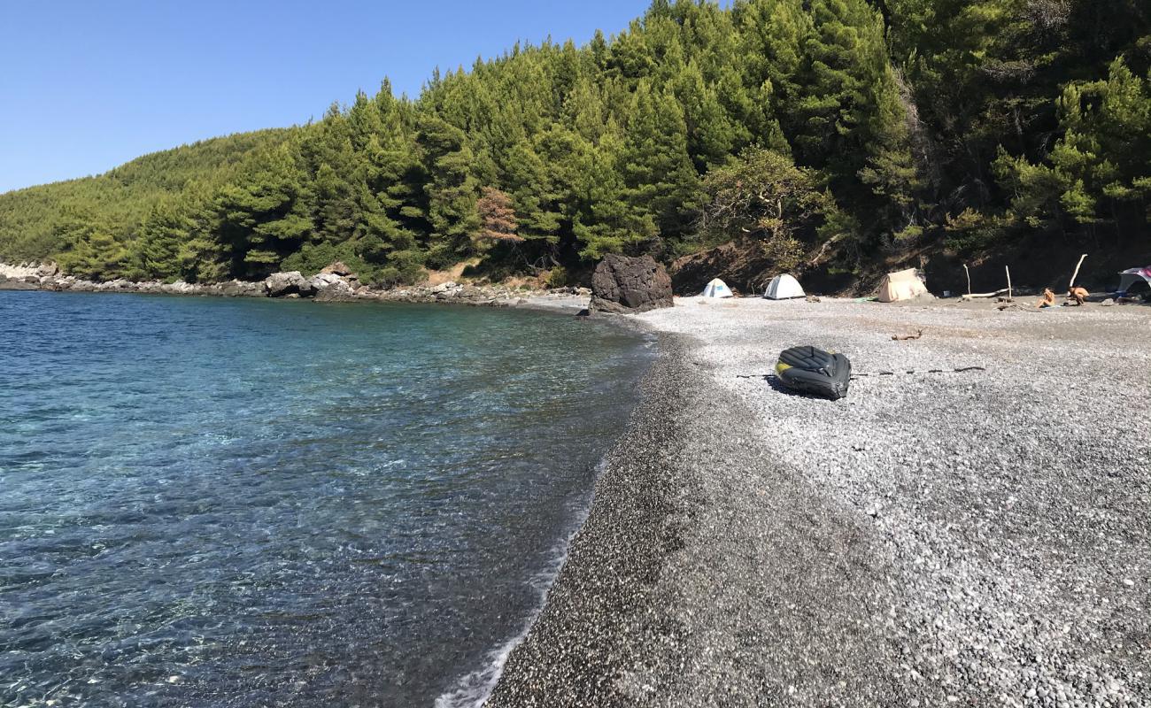 Karbouna beach'in fotoğrafı küçük gri çakıllar yüzey ile