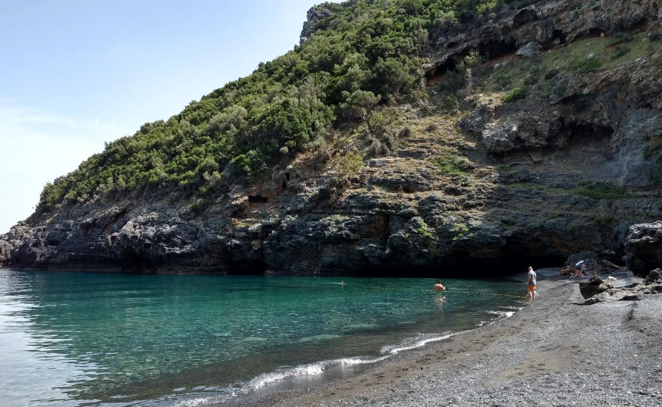 Mills Beach'in fotoğrafı gri ince çakıl taş yüzey ile