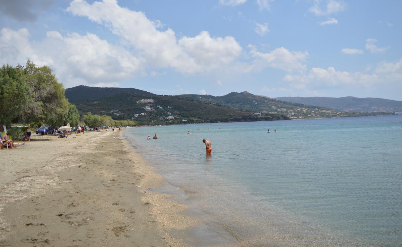 Livadaki beach'in fotoğrafı açık bej kum yüzey ile