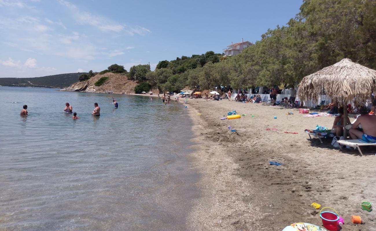 Kokkinia 2 beach'in fotoğrafı açık bej kum yüzey ile