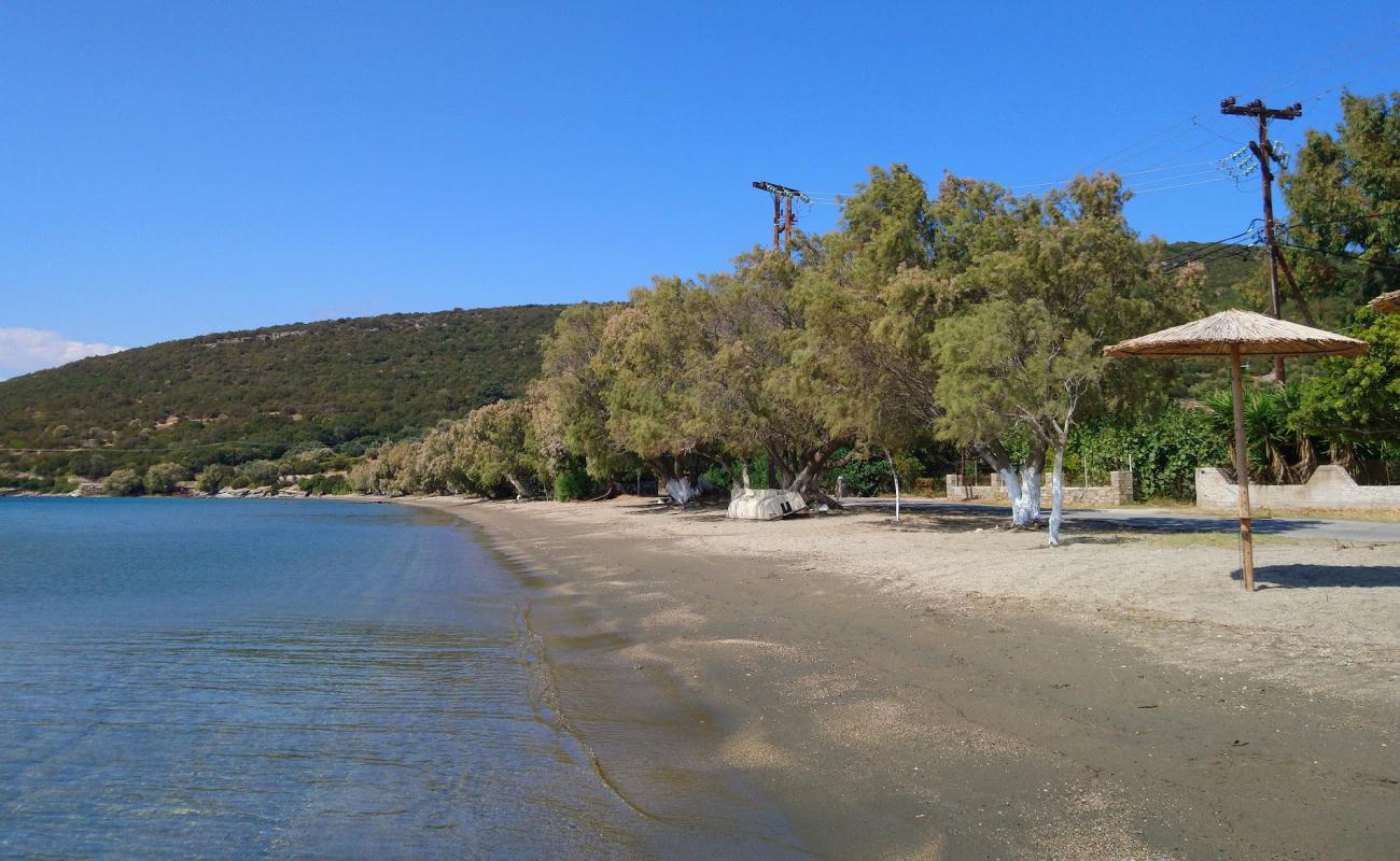 Figias beach'in fotoğrafı bej kum ve çakıl yüzey ile