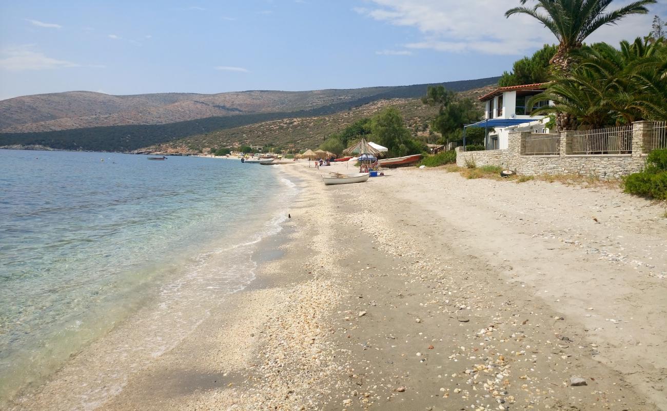 Nimporo beach'in fotoğrafı taşlı kum yüzey ile