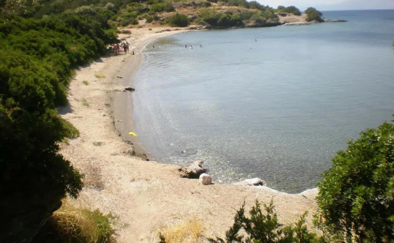 Lefka beach'in fotoğrafı siyah kum ve çakıllar yüzey ile