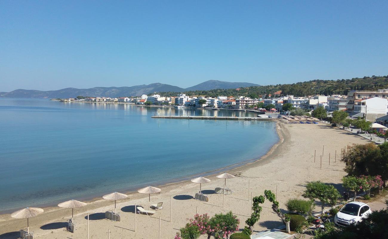Nea Stira beach'in fotoğrafı siyah kum ve çakıllar yüzey ile