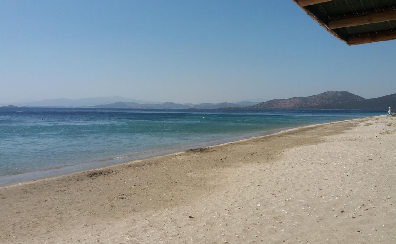 Delissos beach'in fotoğrafı kahverengi kum yüzey ile