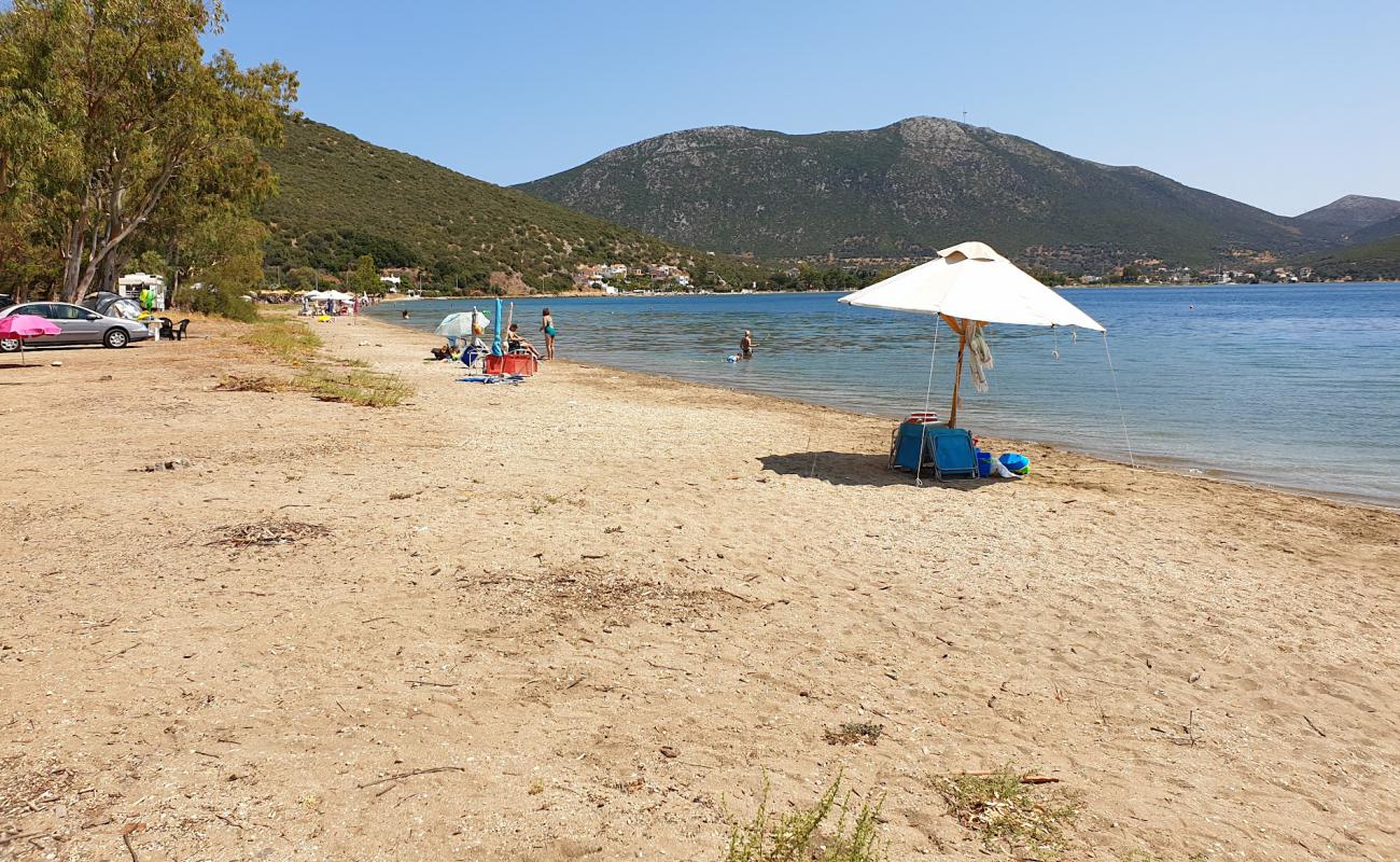 Almyropotamos beach'in fotoğrafı siyah kum ve çakıl yüzey ile