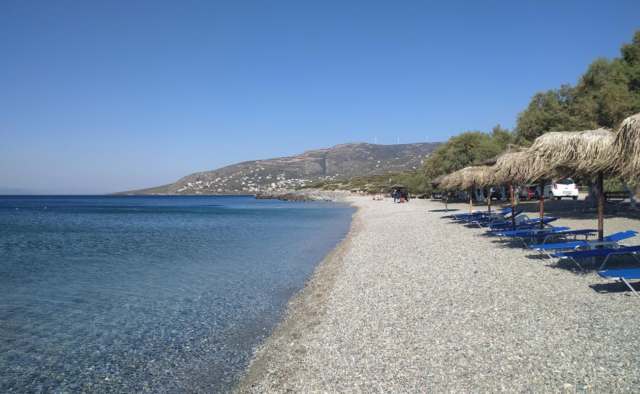Mouse beach'in fotoğrafı küçük bej çakıl yüzey ile