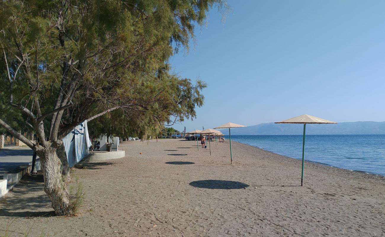 Amarynthos beach'in fotoğrafı gri kum ve çakıllar yüzey ile