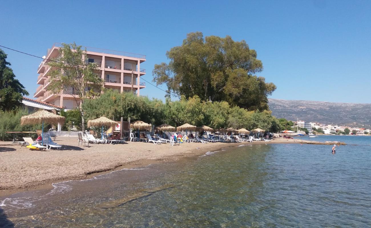 Amarynthos 3 beach'in fotoğrafı gri kum ve çakıl yüzey ile