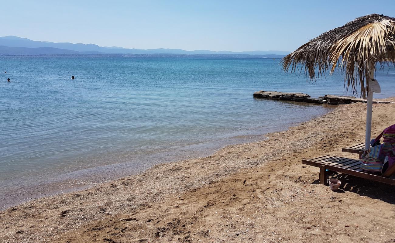 Thealos beach'in fotoğrafı gri kum ve çakıllar yüzey ile