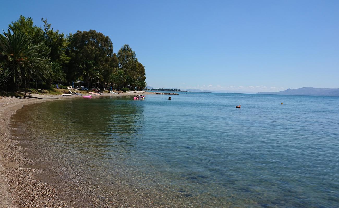 Milos camping beach'in fotoğrafı gri kum ve çakıl yüzey ile