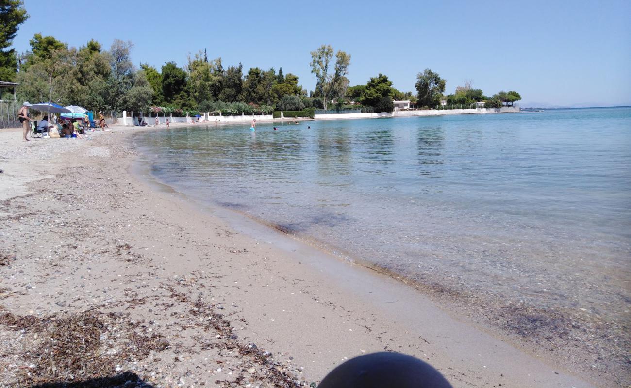 Viles beach'in fotoğrafı siyah kum ve çakıl yüzey ile