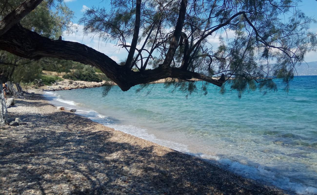 Pounda beach'in fotoğrafı çakıl ile kum yüzey ile